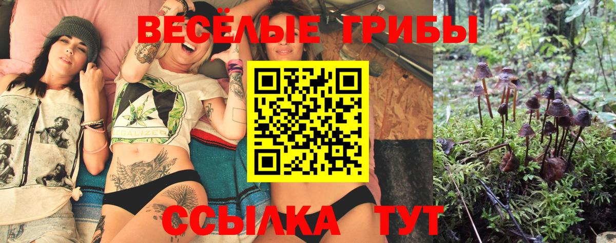 Сорочинск  Псилоцибиновые грибы MAGIC MUSHROOMS  Вход с VPN 